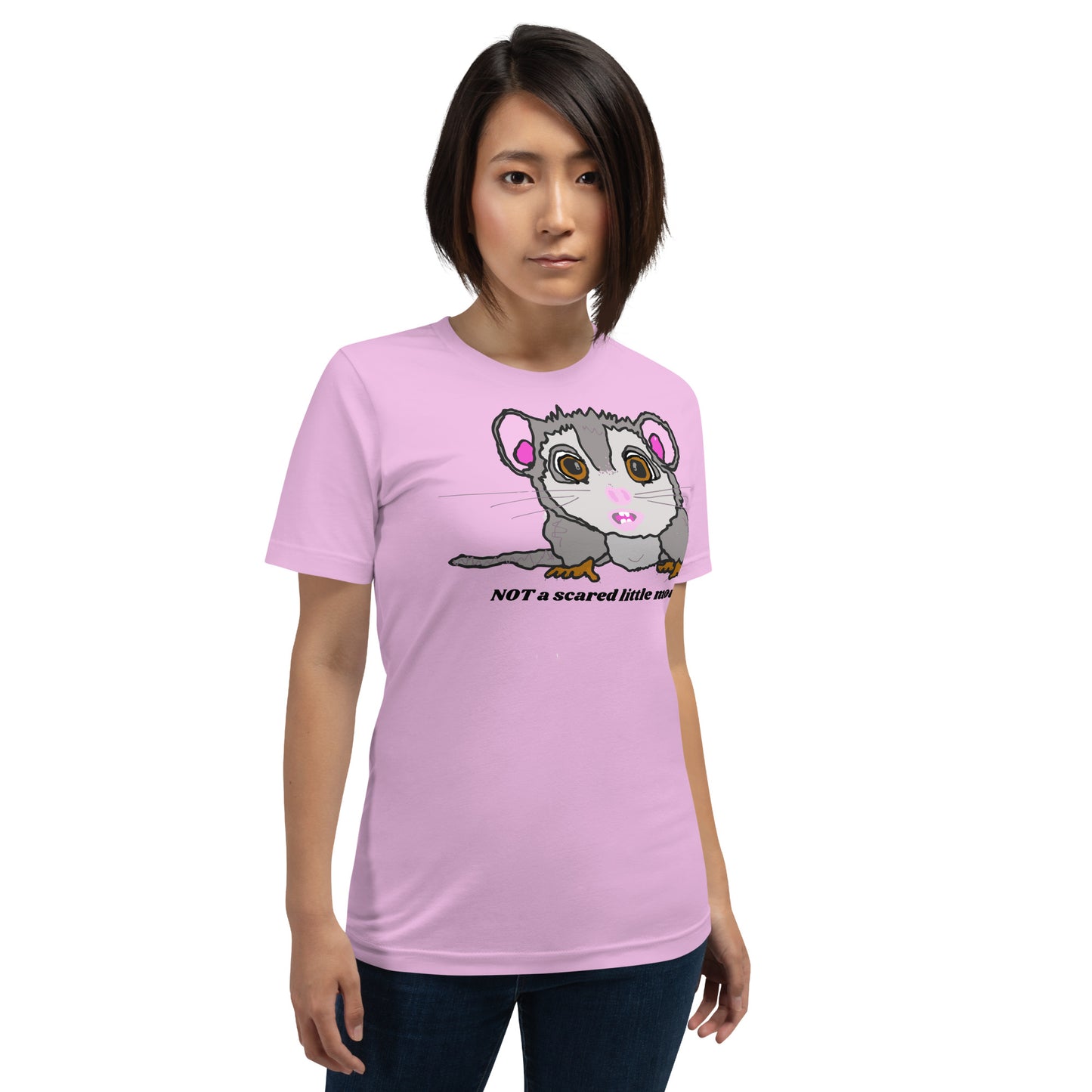 <img src="little grey mouse.jpg" alt="little grey mouse cartoon with slogan not a scared little mouse">